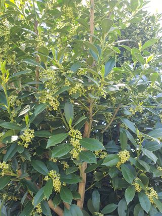 하나라도 소중하게님의 자유주제 · 자유게시판 작성글 사진