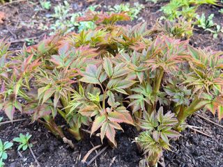 심재연님의 작성글 사진