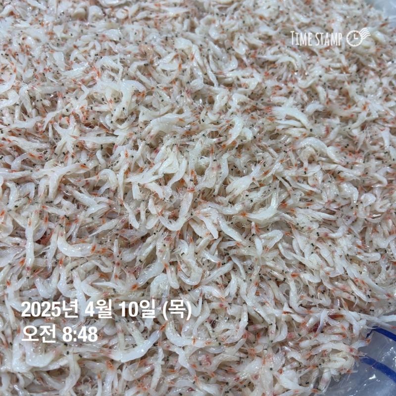 장터 상품 [최상급 햇 추젓 2kg] 썸네일