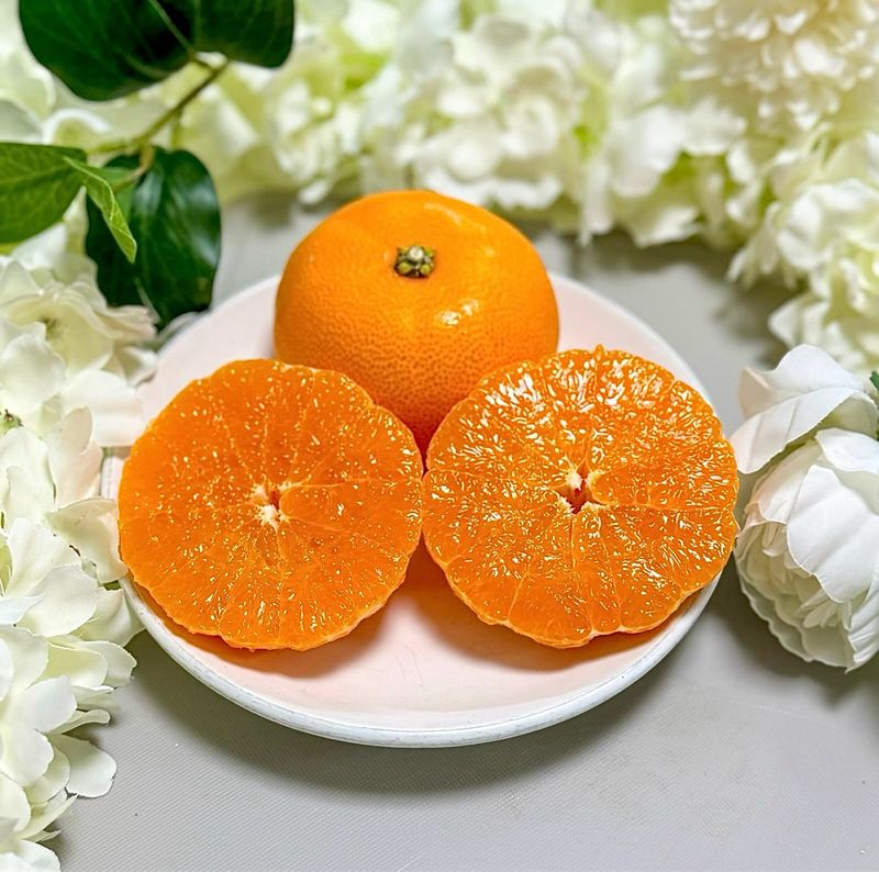 농부손녀님의 장터 판매 상품 [[주말한정] 달콤한 맛 천혜향 9kg] 첨부 사진