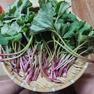 강옥만님의 작성글 사진