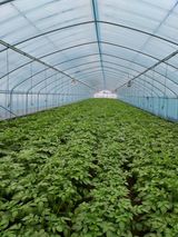 팜모닝 일손 구하셨나요?·참여글 게시글 이미지