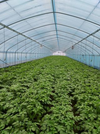 권오식님의 일손 구하셨나요? · 참여글 작성글 사진