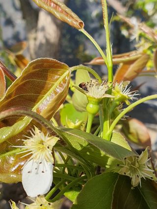 하나라도 소중하게님의 배 · 일상 작성글 사진
