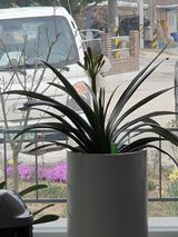 팜모닝 자유주제·자유게시판 게시글 이미지