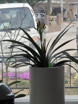 권기은님의 자유주제 · 자유게시판 작성글 사진