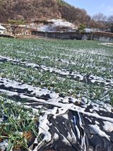 팜모닝 자유주제·사진전 게시글 이미지