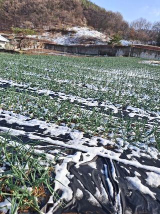 낙지님의 자유주제 · 사진전 작성글 사진