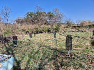 왕대추님의 자유주제 · 자유게시판 작성글 사진