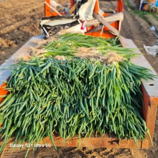 이천산수유님의 자유주제 · 건의해요 작성글 사진