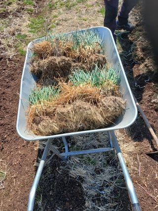 알 수 없음님의 자유주제 · 자유게시판 작성글 사진