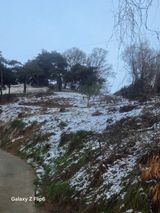 팜모닝 자유주제·자유게시판 게시글 이미지