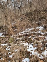 팜모닝 자유주제·자유게시판 게시글 이미지