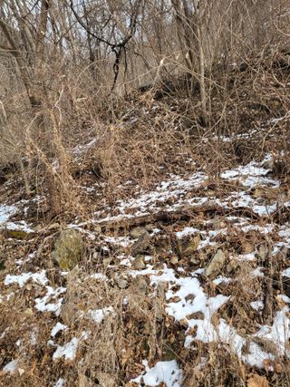 춘천연산골춘천닭갈비님의 자유주제 · 자유게시판 작성글 사진