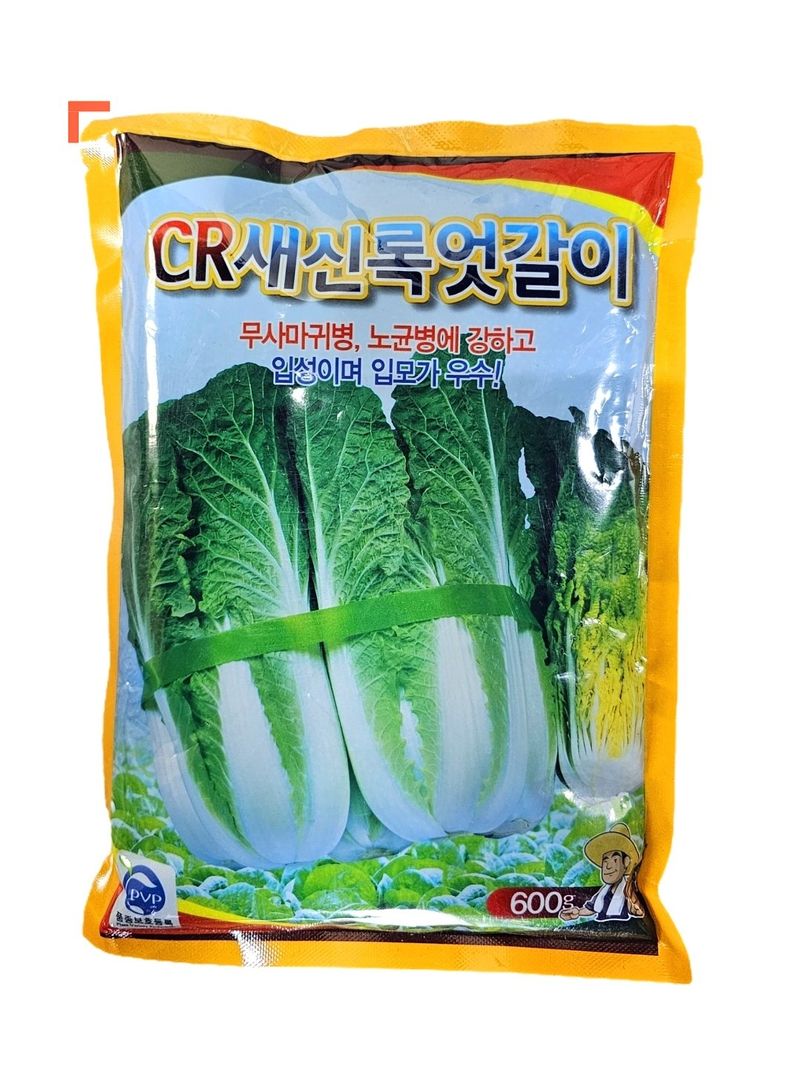 한농농약종묘사님의 장터 판매 상품 [[고급엇갈이배추]CR새신록 600g] 첨부 사진