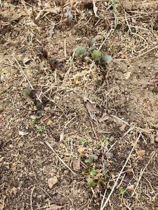 고추건조기부품판매님의 자유주제 · 자유게시판 작성글 사진