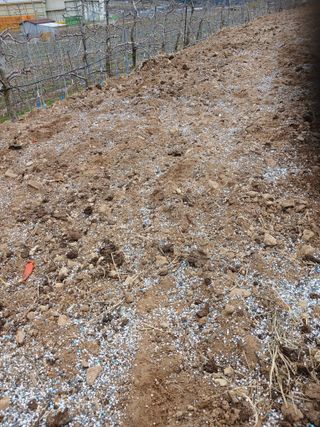 알 수 없음님의 자유주제 · 자유게시판 작성글 사진