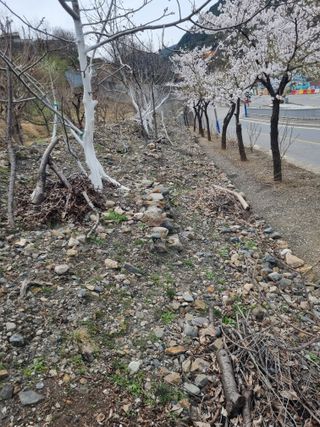 김용대님의 자유주제 · 자유게시판 작성글 사진