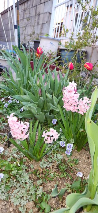하은와송~♡♡♡~님의 자유주제 · 자유게시판 작성글 사진