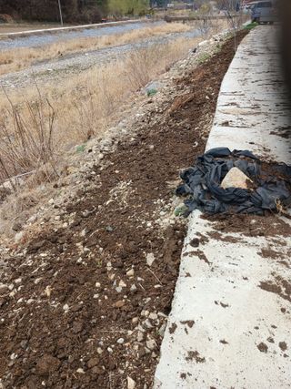 알 수 없음님의 자유주제 · 자유게시판 작성글 사진