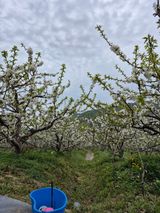 팜모닝 자유주제·자유게시판 게시글 이미지