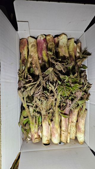 강옥만님의 작성글 사진