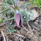 팜모닝 자유주제·건의해요 게시글 이미지