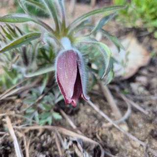 약초꾼님의 자유주제 · 건의해요 작성글 사진