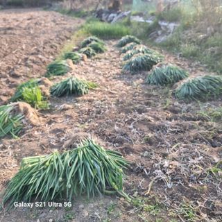 이천산수유님의 자유주제 · 건의해요 작성글 사진
