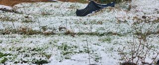 동동이님의 자유주제 · 건의해요 작성글 사진