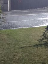 팜모닝 자유주제·자유게시판 게시글 이미지