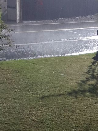 하나라도 소중하게님의 자유주제 · 자유게시판 작성글 사진