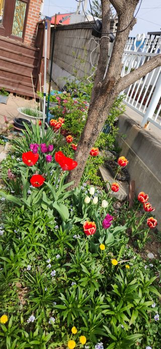 하은와송~♡♡♡~님의 자유주제 · 자유게시판 작성글 사진