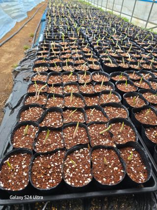 약초원 김종군님의 자유주제 · 자유게시판 작성글 사진