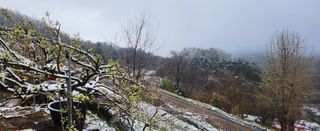 동동이님의 자유주제 · 건의해요 작성글 사진