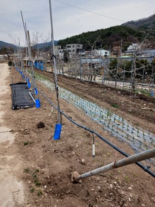 알 수 없음님의 자유주제 · 자유게시판 작성글 사진