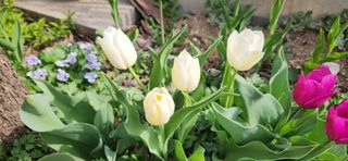 하은와송~♡♡♡~님의 자유주제 · 자유게시판 작성글 사진