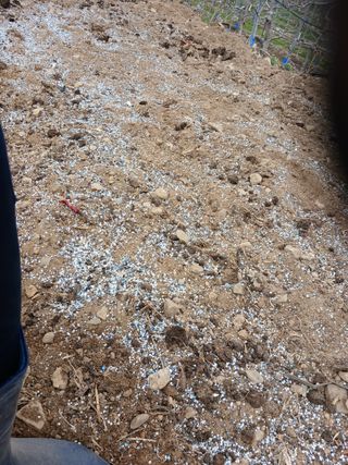 알 수 없음님의 자유주제 · 자유게시판 작성글 사진