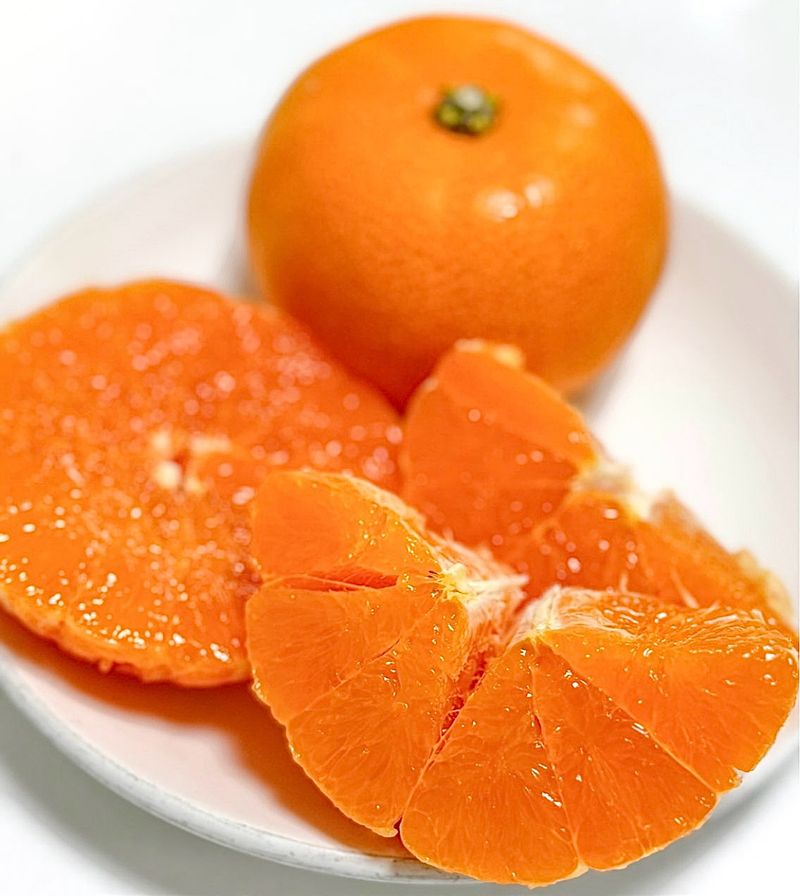 농부손녀님의 장터 판매 상품 [[주말한정] 달콤한 맛 천혜향 9kg] 첨부 사진