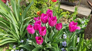 하은와송~♡♡♡~님의 자유주제 · 자유게시판 작성글 사진