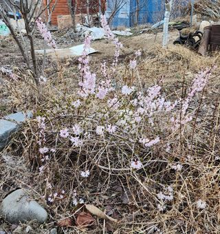 고추건조기부품판매님의 자유주제 · 자유게시판 작성글 사진