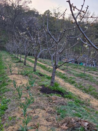 박정희 님의 자유주제 · 자유게시판 작성글 사진