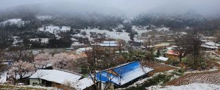 동동이님의 자유주제 · 건의해요 작성글 사진