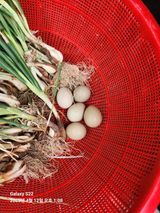 팜모닝 자유주제·자유게시판 게시글 이미지