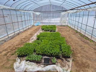 박무순님의 자유주제 · 자유게시판 작성글 사진