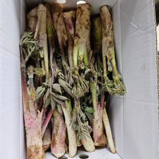 강옥만님의 작성글 사진