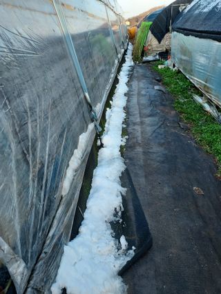 태일농산이정수님의 자유주제 · 자유게시판 작성글 사진