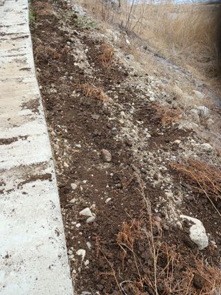 알 수 없음님의 자유주제 · 자유게시판 작성글 사진