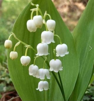 약초원 김종군님의 자유주제 · 자유게시판 작성글 사진