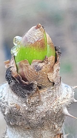 여우내 이순홍님의 자유주제 · 자유게시판 작성글 사진